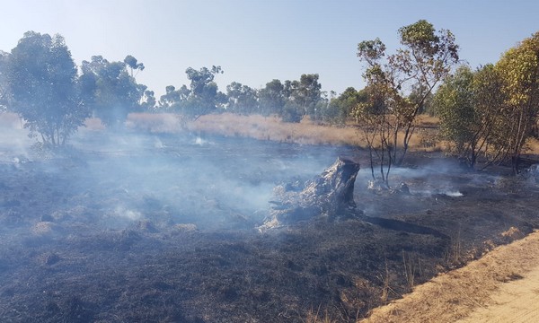 Fire in Beeri Forest. Photo: Moshe Baruchi, KKL-JNF Forester